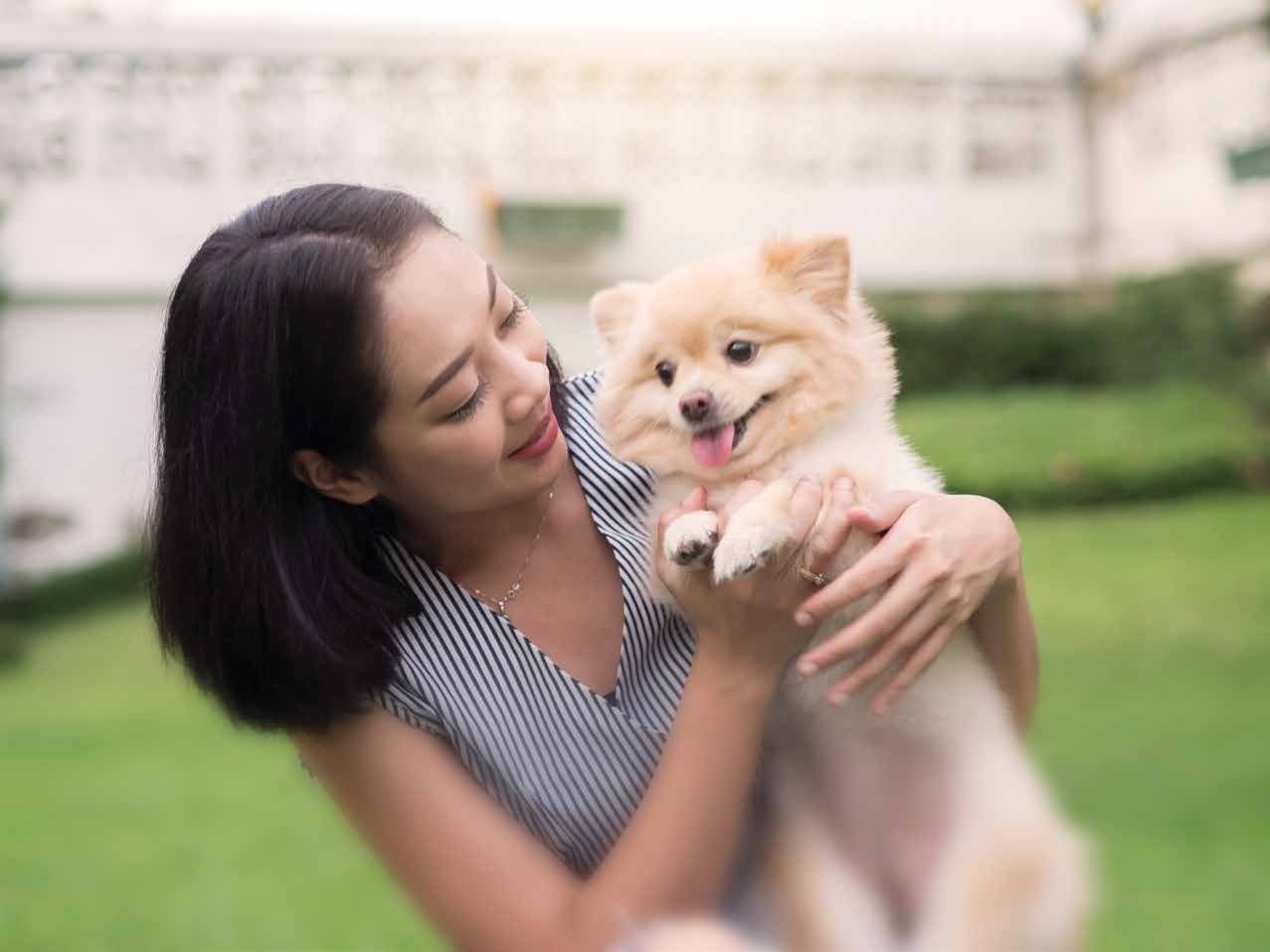 Pet-friendly facilities at Ayanna Resort Residences