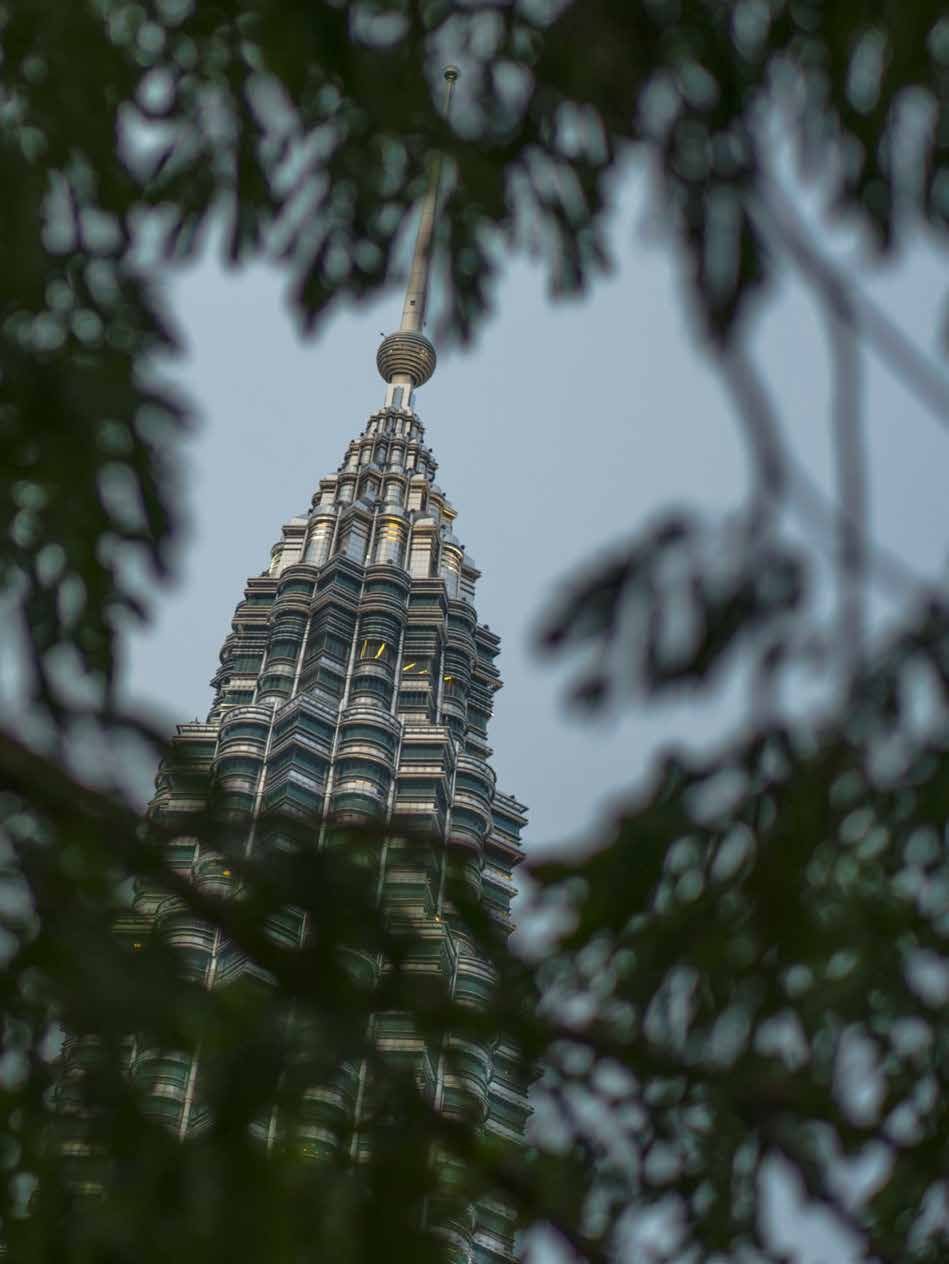 The Petronas Twin Towers seen from the KLCC Park